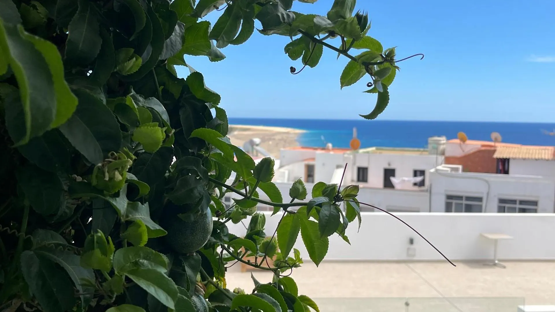 Lägenhet Casa Verde Con Vista Al Mar Morro Jable
